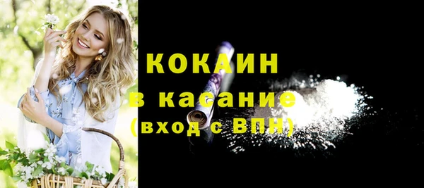 таблы Гусев