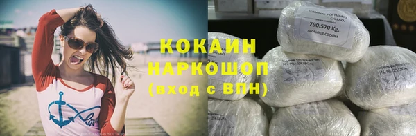мяу мяу мука Гусиноозёрск