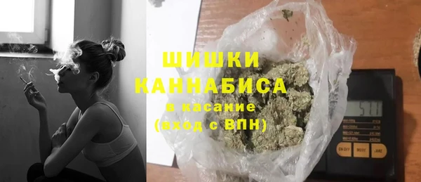таблы Гусев
