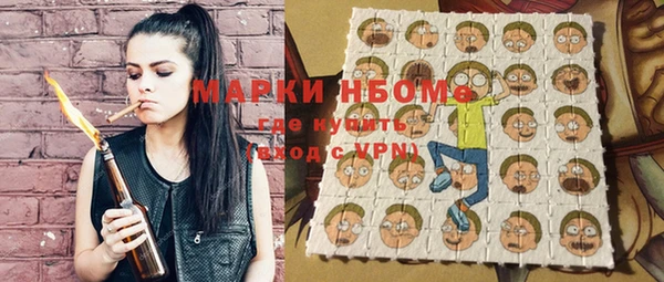 ГАЛЛЮЦИНОГЕННЫЕ ГРИБЫ Горняк