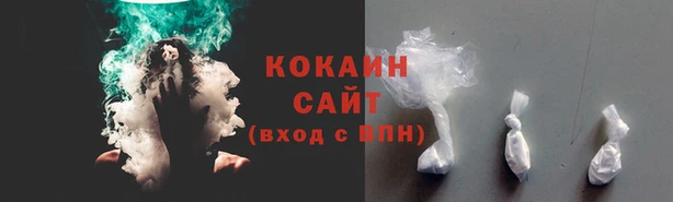 таблы Гусев