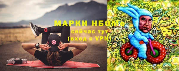 таблы Гусев