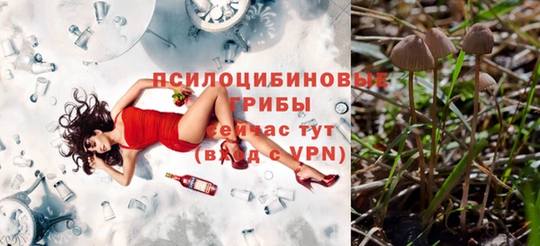 мяу мяу мука Гусиноозёрск
