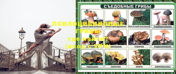 таблы Гусев