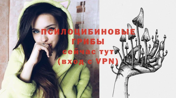 мяу мяу мука Гусь-Хрустальный