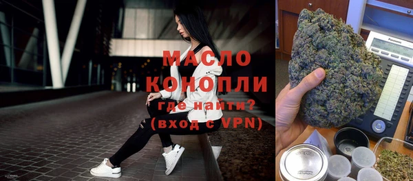 таблы Гусев