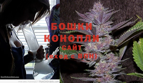 мяу мяу мука Гусиноозёрск