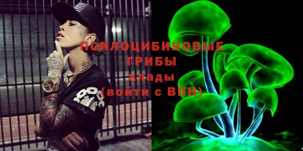 мяу мяу мука Гусиноозёрск