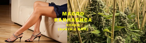 мяу мяу мука Гусь-Хрустальный