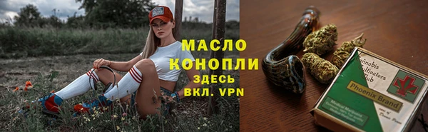 таблы Гусев