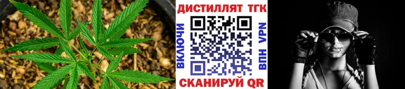 даркнет официальный сайт  mega как войти  Новозыбков  Дистиллят ТГК гашишное масло 