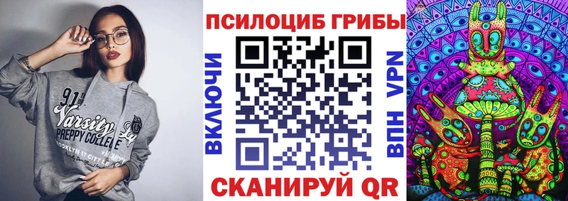 Галлюциногенные грибы GOLDEN TEACHER где продают наркотики Новозыбков